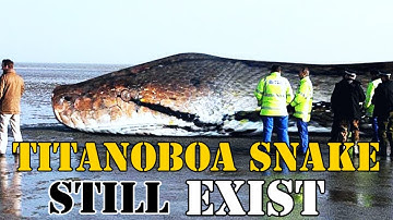 What if Titanoboa snake didn