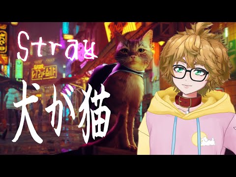 【 Stray 】 #2　もちゃまる 猫になる 【 茂茶丸プー太 】