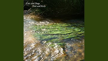 Persistent Random Misforecast