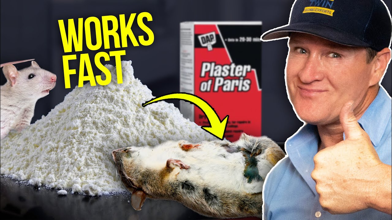 How To Kill Mice & Rats (RODENTS) with Baking Soda 