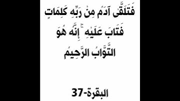 سورة البقرة الآية 37 #القرآن_الكريم #سورة_البقرة #الحمزة_سدراية