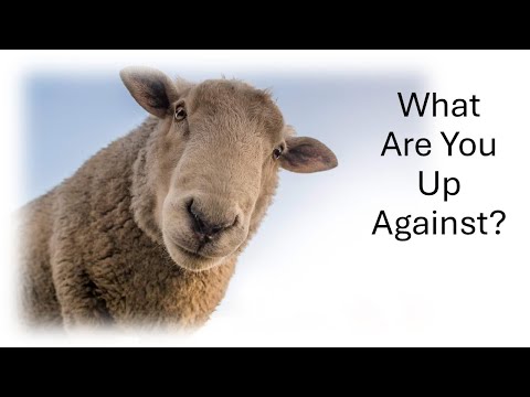December 6th, Mike Rogers “What are You Up Against?”