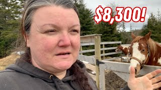 You won't believe what's been happening... *sigh* This cost us $8300!