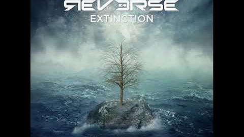 Reverse - Division of Activity