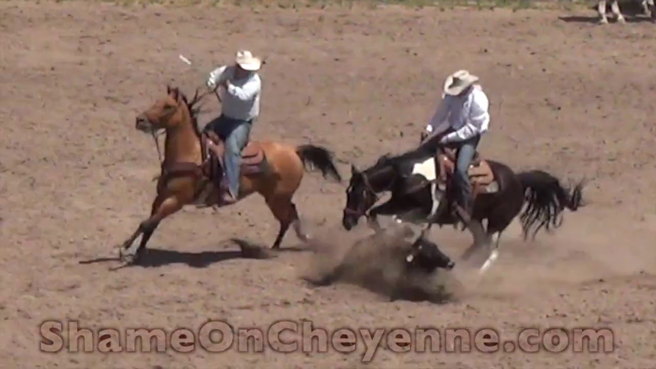 horseshoe bend Century 21 Still Sponsors Deadly Animal Abuse