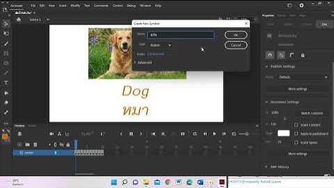 สร้างปุ่มคำสั่ง Action script โดยใช้โปรแกรม Adobe Animate