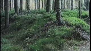 Bergbau Im Erzgebirge 13