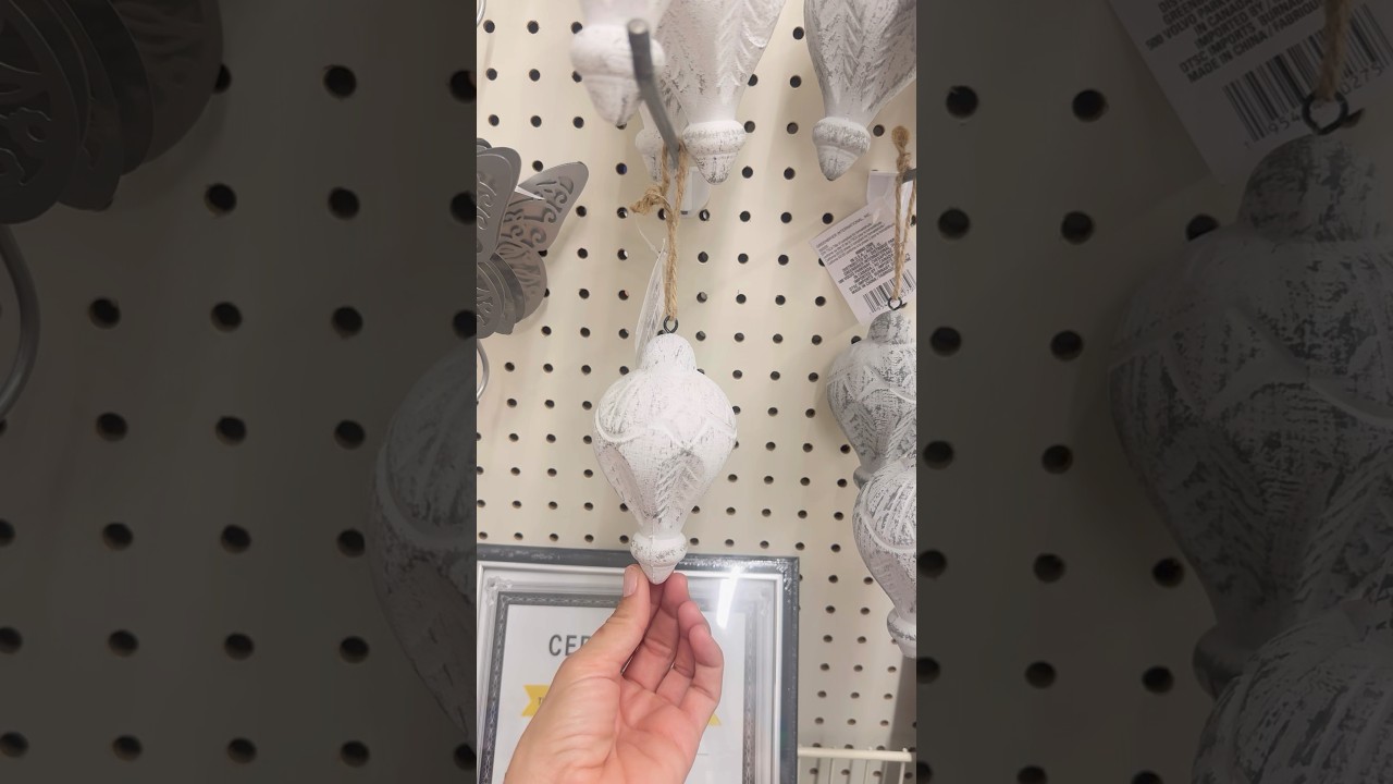 What’s new at the dollar tree - January 3, 2026