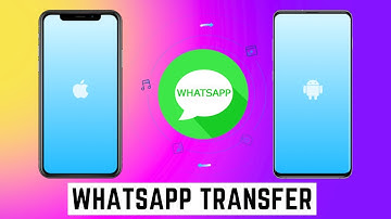 How to Transfer WhatsApp Data Between IOS & Android | iMyFone iMyTrans