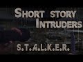 S.T.A.L.K.E.R. Short story - Intruders