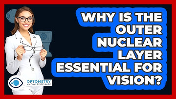 Why Is The Outer Nuclear Layer Essential For Vision?