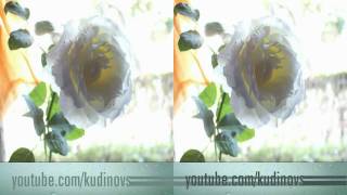 Клипы про любовь 3D: Ты робко мне скажи не уходи Клипы про любовь 3D: Ты робко мне скажи не уходи