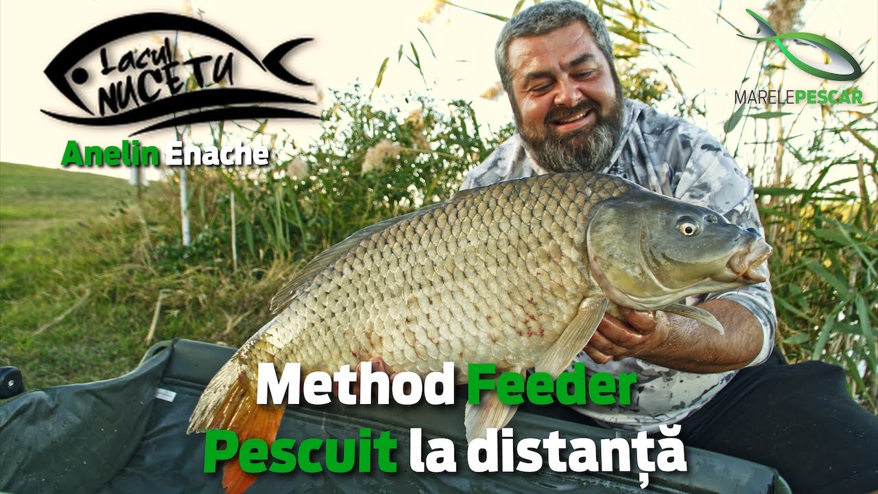 Method Feeder - Pescuit la distanta pe Lacul Nucetu - Anelin Enache | MarelePescar