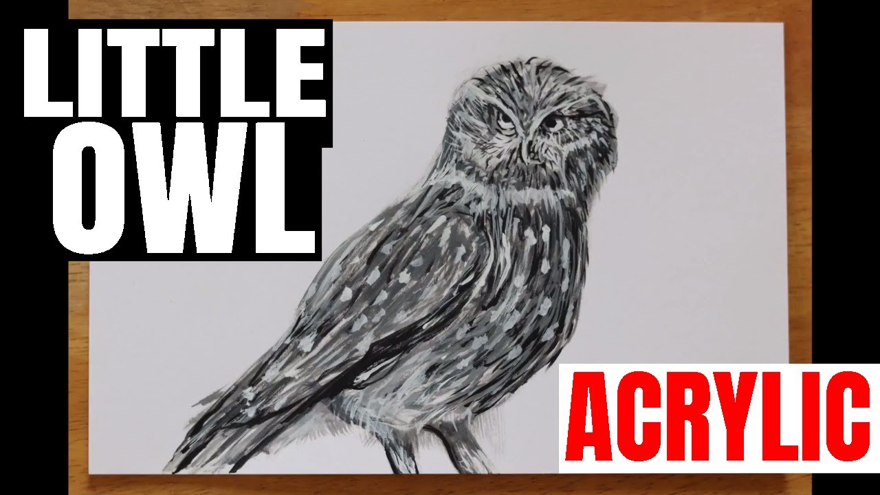 Little Owl Acrylic Painting by J Sheetz