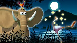 Gazoon | The African Night | Jungle Stories | Kids Animation | Funny Animal Cartoon For Kids
