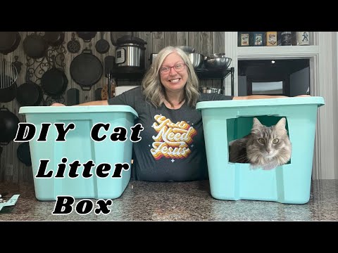DIY 7 Cat Litter Box Easy Budget Friendly Solution for Cat Owners YouTube