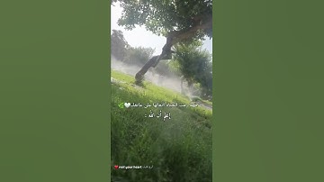 مقطع قرانQuran قصير بصوت جميل 🤍🌿 بصوت القارئ ياسر الزيلعي 🎙❤️