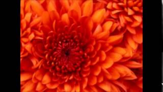 bhajans mp3