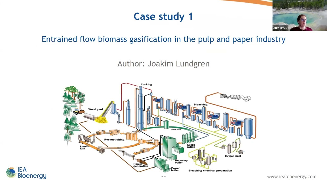 IEA Bioenergy Webinar – Integration of gasification processes in biorefineries
