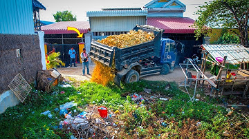 First New Project! Landfill on Flooded Pond, Dozer D20P & Dump Truck Push Stone Complete in One Day