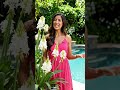 PlantCare #GardeningTips #PlantLover #GreenThumb  #PlantParent #HealthyPlants #NatureLovers