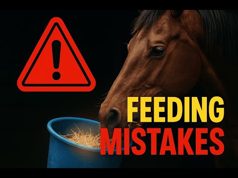 Horse Feeding Mistakes You Must Avoid .