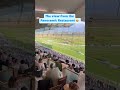 The most amazing view to watch horse racing at Cheltenham!  #horse #horseracing #hospitality