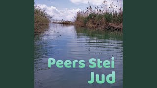 First Man - Peers Stein