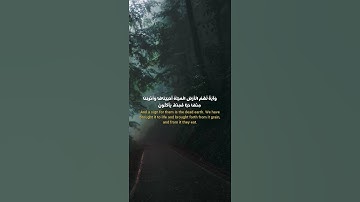 يَا حَسْرَةً عَلَى الْعِبَاد #سورة_يس #احمد_العجمي