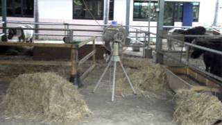 DSCF1342.AVI