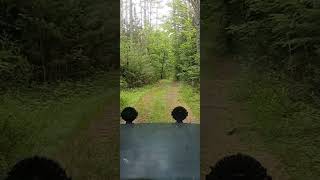 Overlanding In The Adirondacks...bushwacking Out Of The Fish Ladder