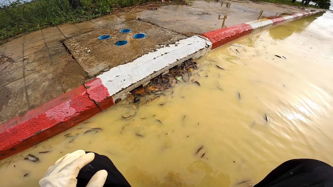 The Truth About Draining Major Roadway Flood By Unclogging Storm Drain ...