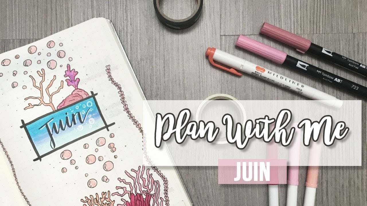 Plan With Me : Juin 2018 | Bullet Journal Setup 🐺