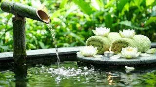 Yoga and Spa Music ✨ Quiet Water Sounds, Soft Piano Music and Bamboo Garden Fountain for Night Calm screenshot 5