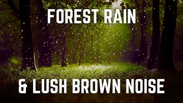 FOREST RAIN & LUSH BROWN NOISE | 12 Hours | Black Screen | No Midway Ads - Relax/ Sleep/ Focus
