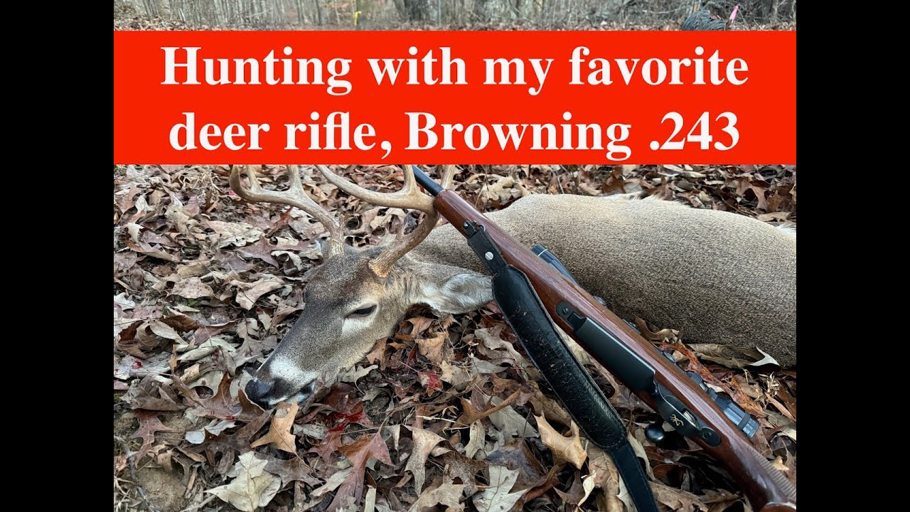 Охота с моей любимой винтовкой и лучшим ружьем для охоты на оленей (на мой взгляд) — винтовкой Br...