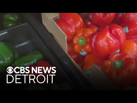 Michigan experts warn food insecurity on the rise amid government shutdown