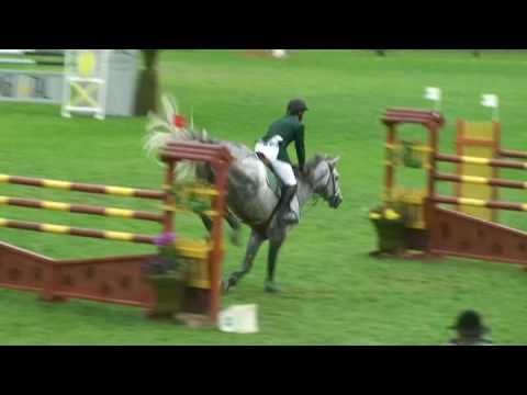 Untouchable M- jumping stallion (KWPN) by Quick Star