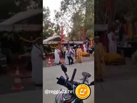 بارطية رگادة شاخدة الكتاف 