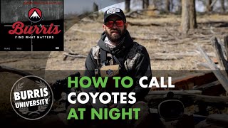 How to Call Coyotes at Night