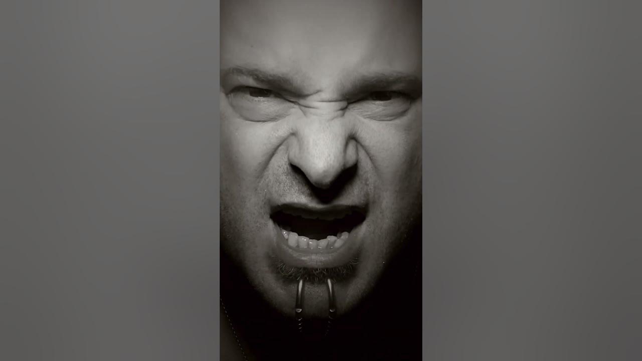 the-soundofsilence-was-released-as-the-3rd-single-off-immortalized-8