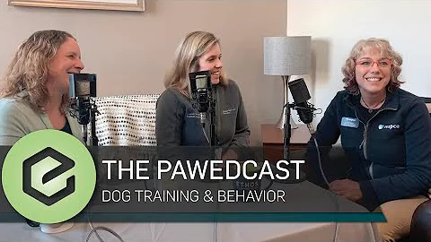 The PAWEDcast: Dog Training & Behavior