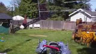 Daffy Duck jo gunn antenna (4)
