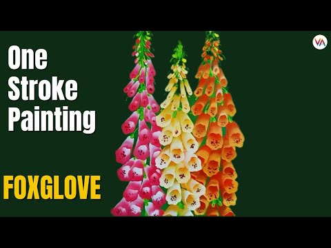 Video: Foxglove Böyük çiçəkli