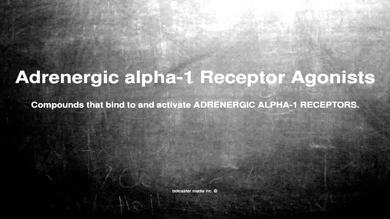 Medical vocabulary: What does Adrenergic alpha-1 Receptor Agonists mean - Y...