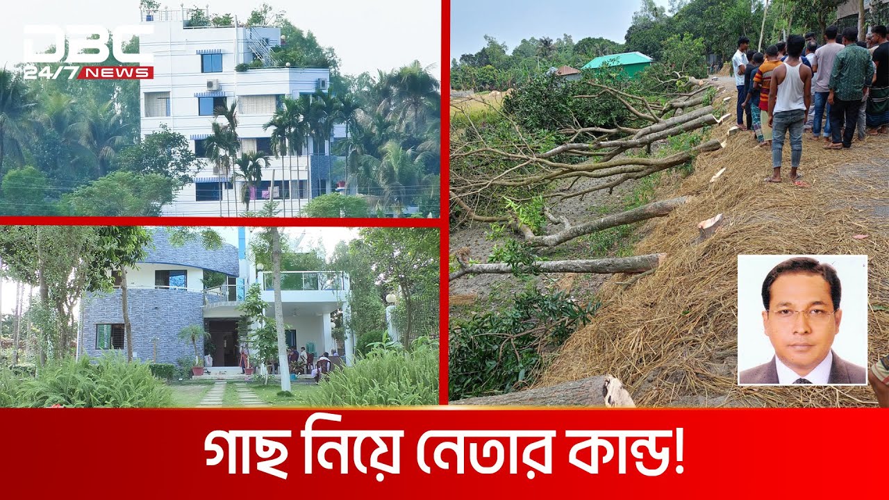নিজের আলিশান বাড়ি দেখাতে গাছ কেটে সর্বনাশ | DBC NEWS Special