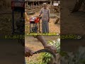 🐄 மாட்டு தீவனம் வெட்டும் மாஸ் மெஷின் 🚜 Master Chaff Cutter வந்தாச்சு #shorts #trending #chaffcutter