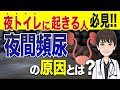 夜間頻尿の症状や原因について泌尿器科専門医が解説 | 夜に トイレ に起きる 人や トイレ が近い人はぜひご覧ください | 排尿日誌を活用する事はとても大切です 【 医師が解説 】