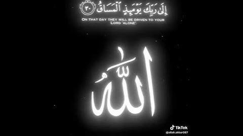 قران الكريم راحة نفسية ممكن شتراك #اكسبلور #المصحف #لايك #الرحمن #duet #سورة #سورة_البقرة #الآية