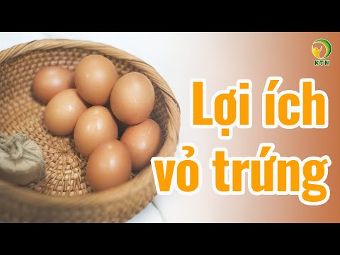 Video: Lợi ích Của Vỏ Trứng Là Gì
